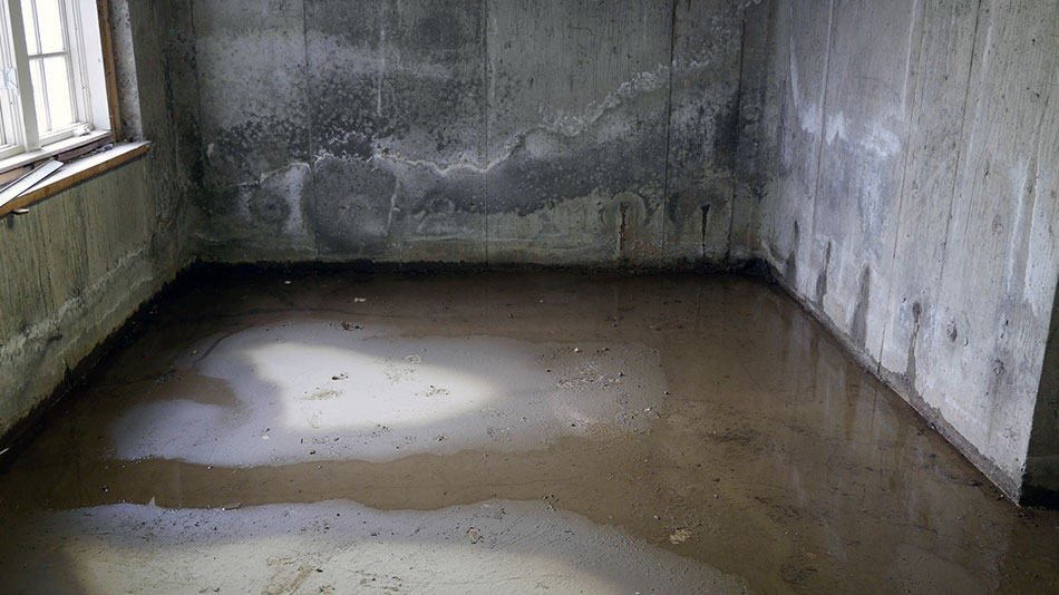 Basement Flooding in Ottawa