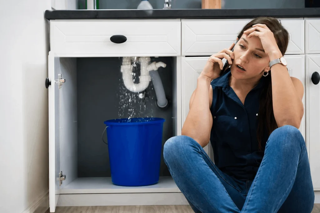 Rhino Plumbing - Emergency Plumbing