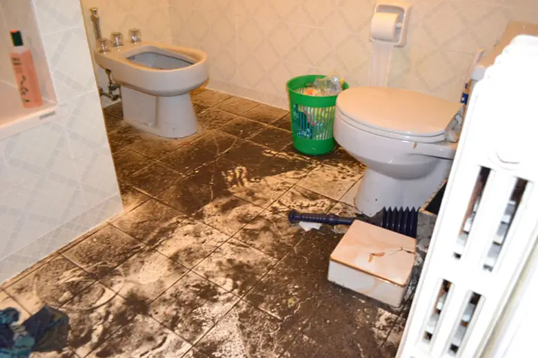 Sewer Backup in Ottawa Rhino Plumbing