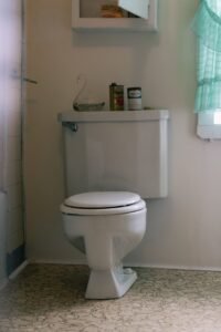 Toilet in Need of Repair